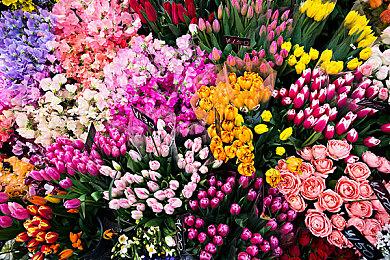 《戴森球计划》“进化的伊卡洛斯”更新 机甲自定义上线