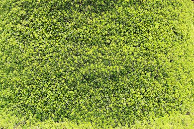 PS Plus双倍折扣优惠活动 会员最高可享2折优惠