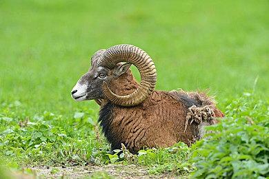 报道称索尼即时服务游戏进展不顺 多个游戏被取消