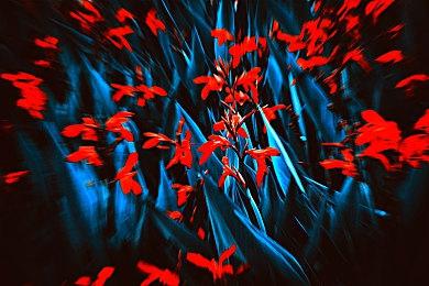 PC版《刺客信条：英灵殿》已免费追加发现之旅模式